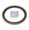 DT 4.20513 Shaft Seal, differential